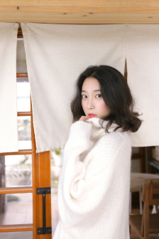 新上门女婿电视剧